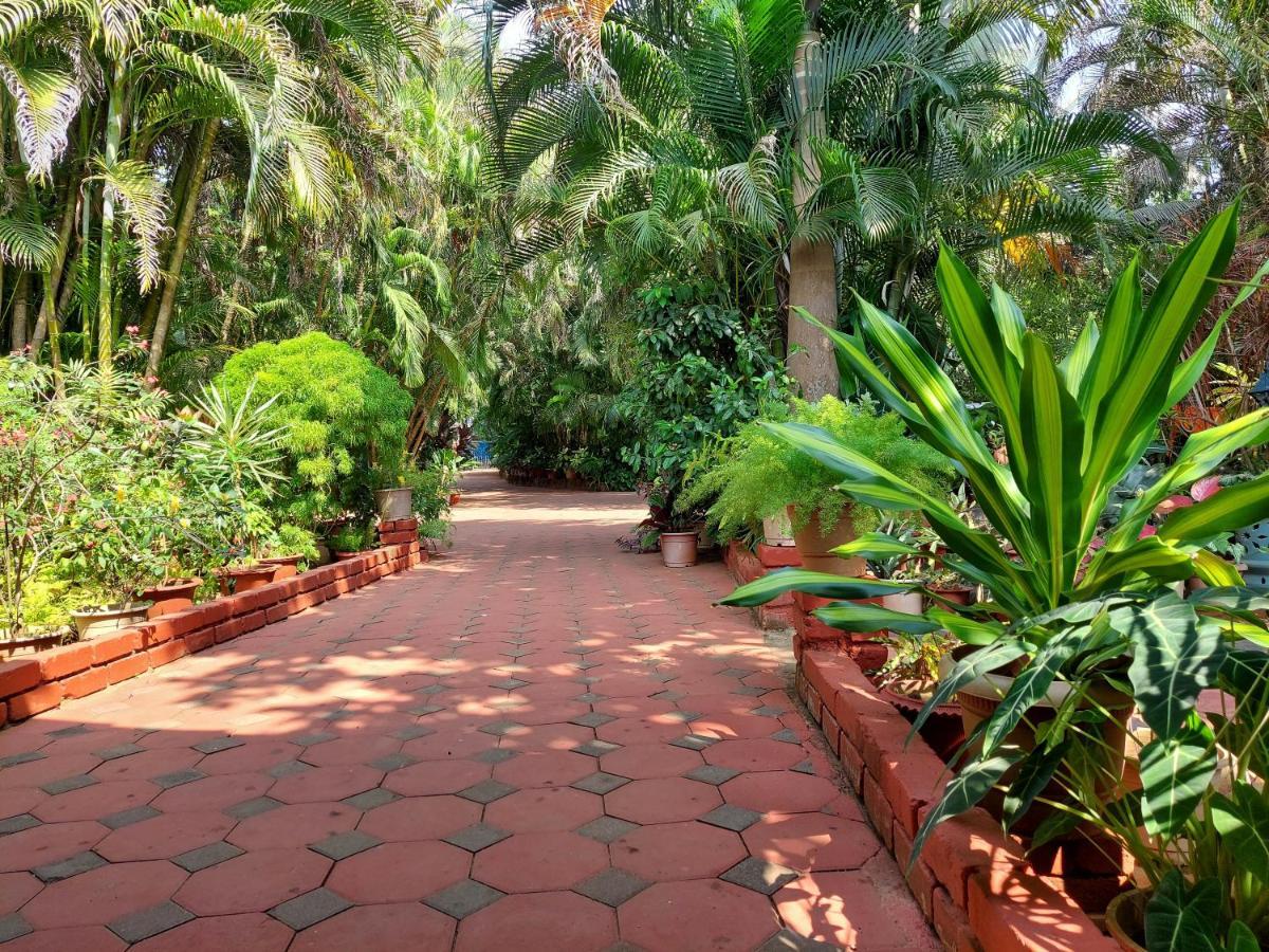 בנולים Palm Grove Cottages - Leisure Resort מראה חיצוני תמונה