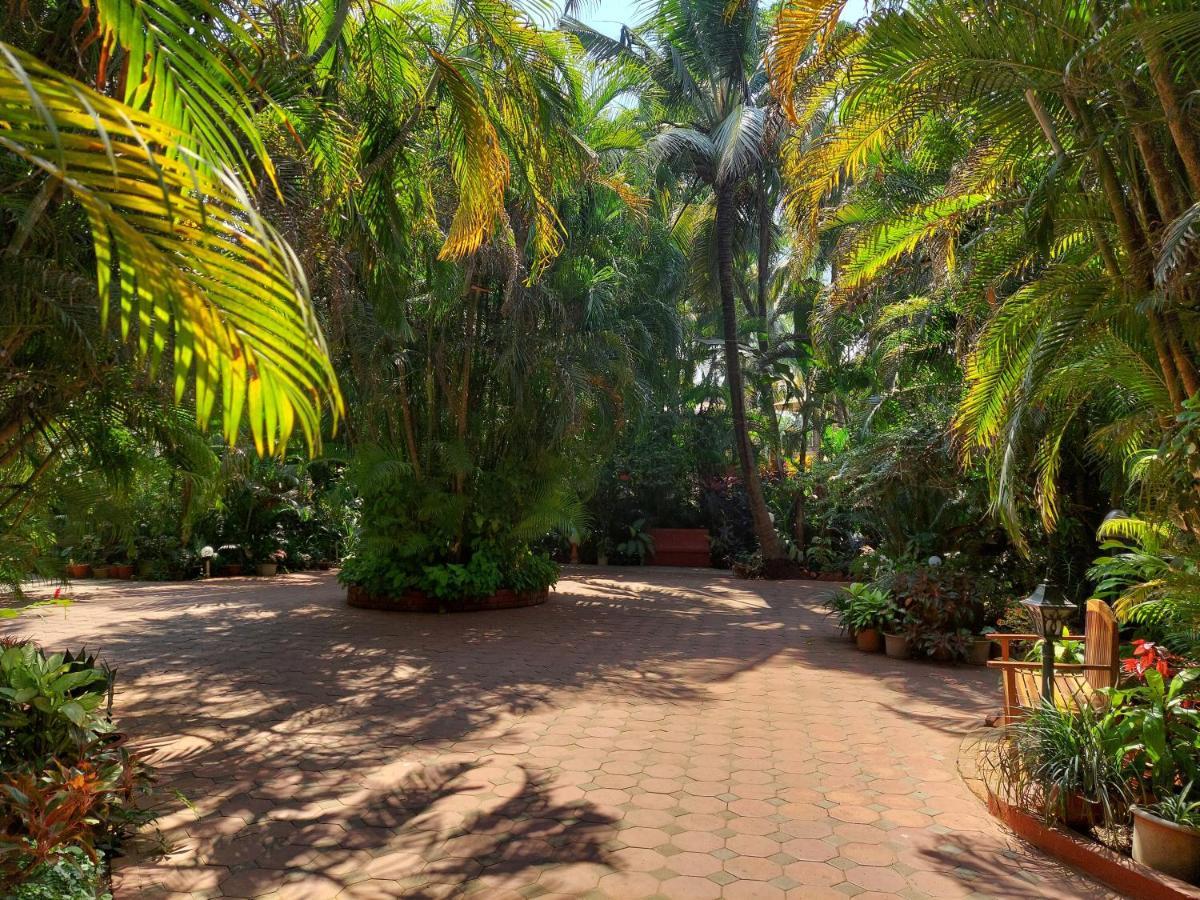 בנולים Palm Grove Cottages - Leisure Resort מראה חיצוני תמונה