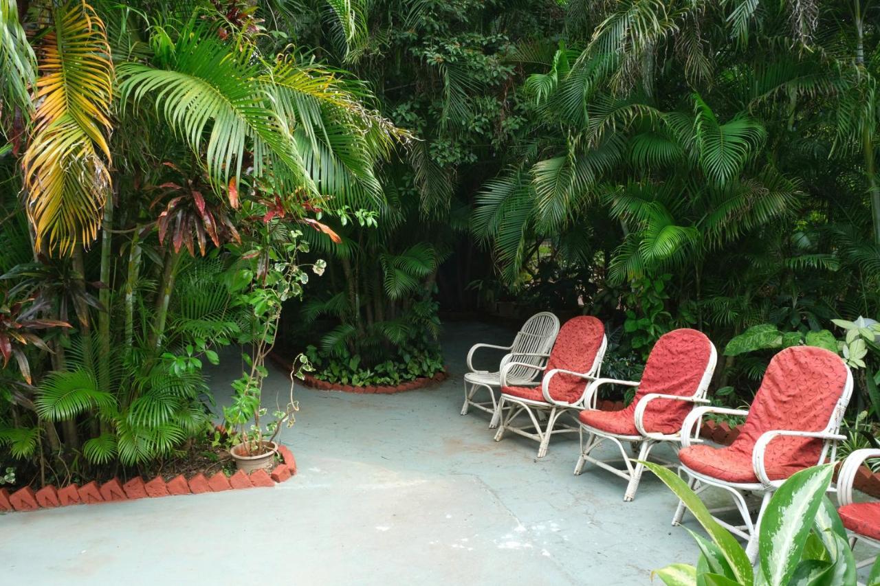 בנולים Palm Grove Cottages - Leisure Resort מראה חיצוני תמונה