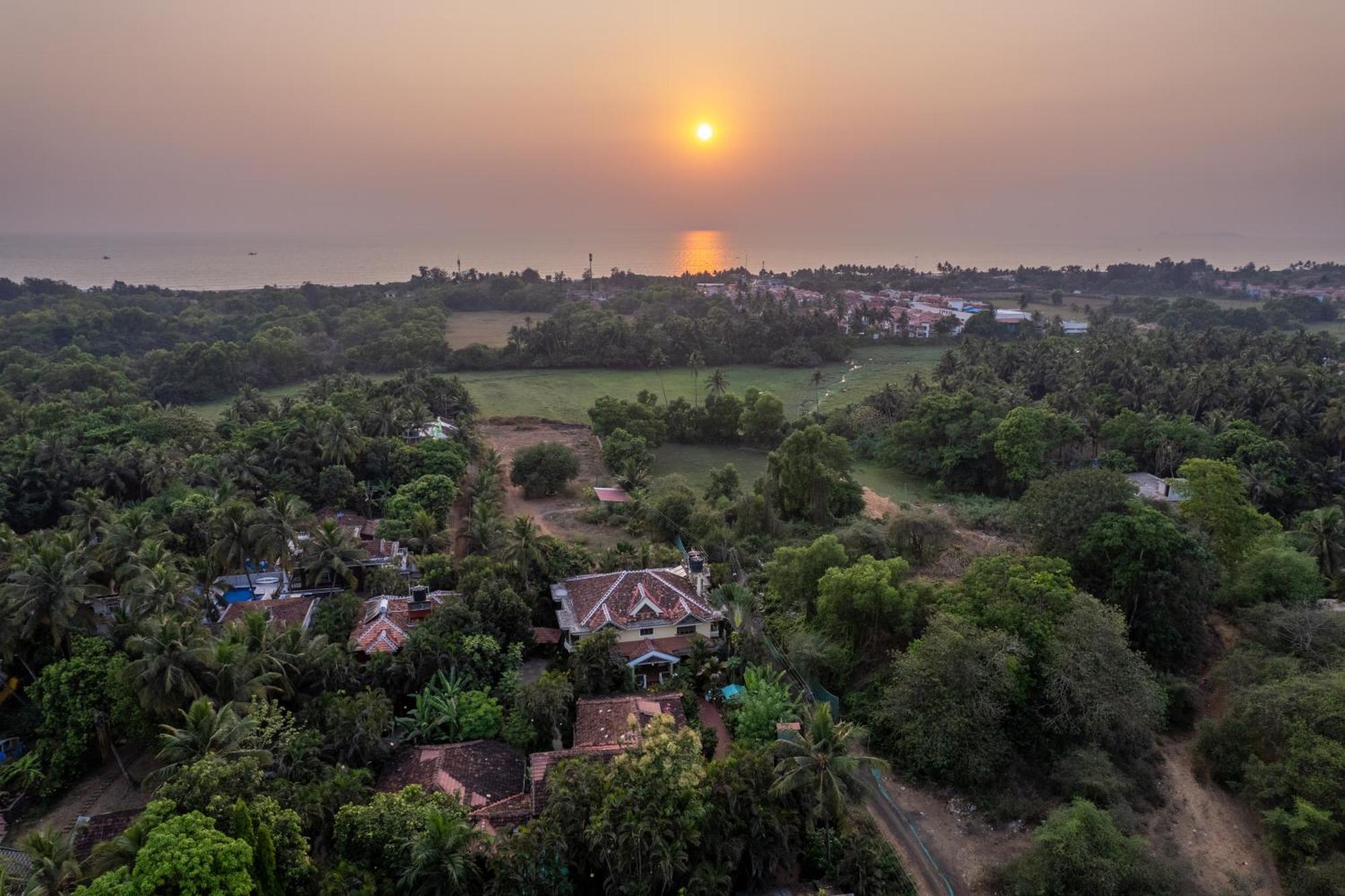 בנולים Palm Grove Cottages - Leisure Resort מראה חיצוני תמונה
