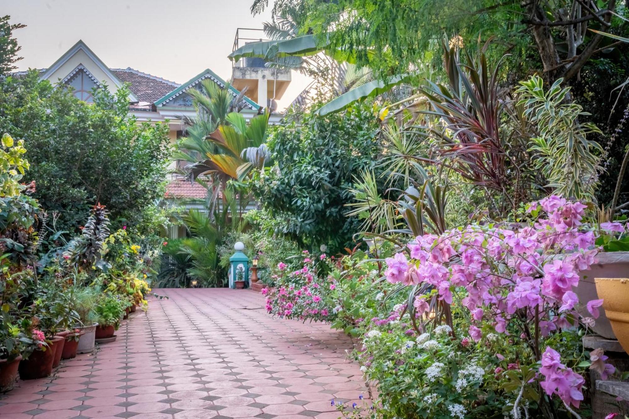 בנולים Palm Grove Cottages - Leisure Resort מראה חיצוני תמונה