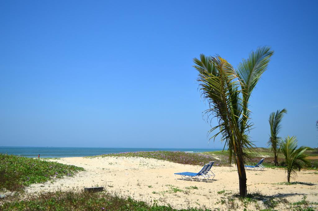 בנולים Palm Grove Cottages - Leisure Resort מראה חיצוני תמונה