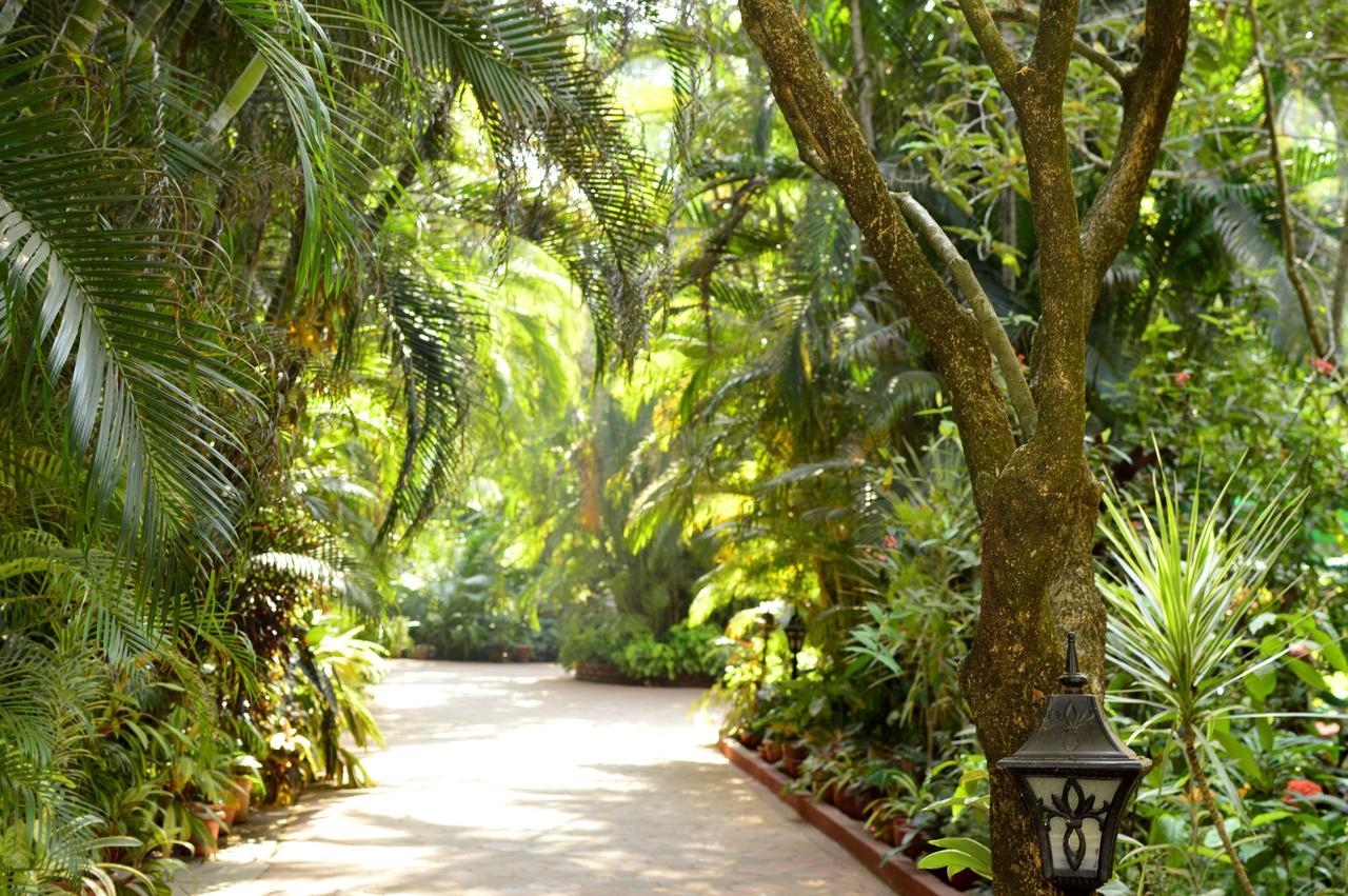 בנולים Palm Grove Cottages - Leisure Resort מראה חיצוני תמונה